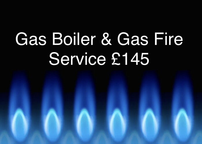 Boiler & Fire Service £145